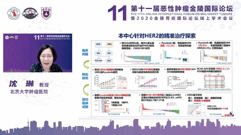 第十一届恶性肿瘤金陵国际论坛之胃癌精准治疗专场成功举办 第十一届恶性肿瘤金陵国际论坛之胃癌精准治疗专场成功举办